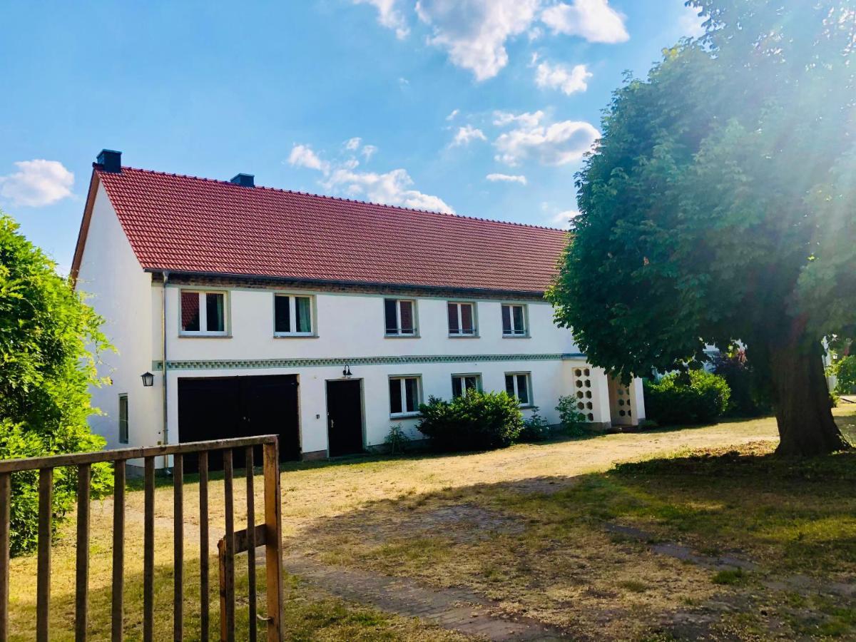 Hohenferchesar Neu - Ferien Auf Dem Bruderhof Am Pritzerber See מראה חיצוני תמונה